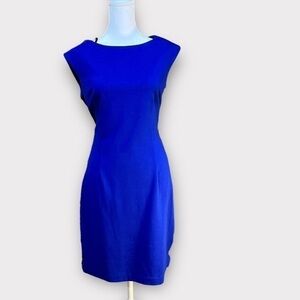 Laundry Shift Dress with Black Lace Sides